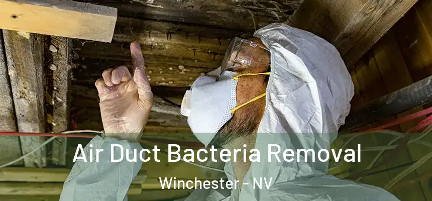Air Duct Bacteria Removal Winchester - NV