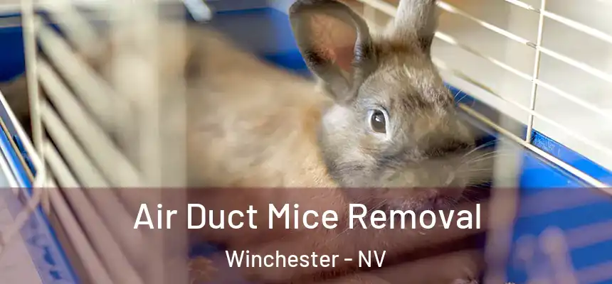 Air Duct Mice Removal Winchester - NV