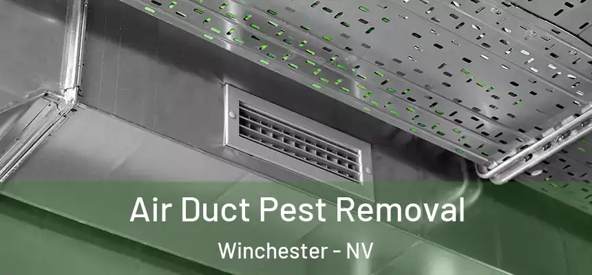  Air Duct Pest Removal Winchester - NV