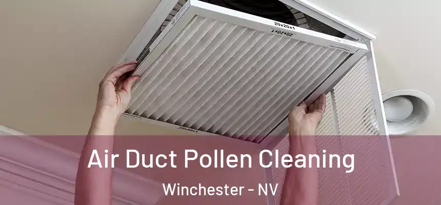 Air Duct Pollen Cleaning Winchester - NV