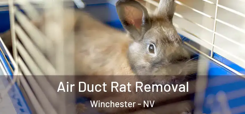 Air Duct Rat Removal Winchester - NV