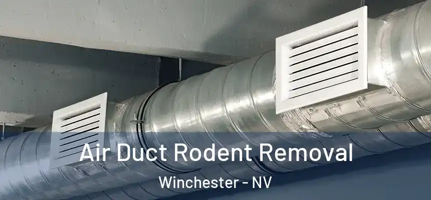  Air Duct Rodent Removal Winchester - NV