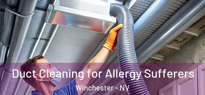 Duct Cleaning for Allergy Sufferers Winchester - NV