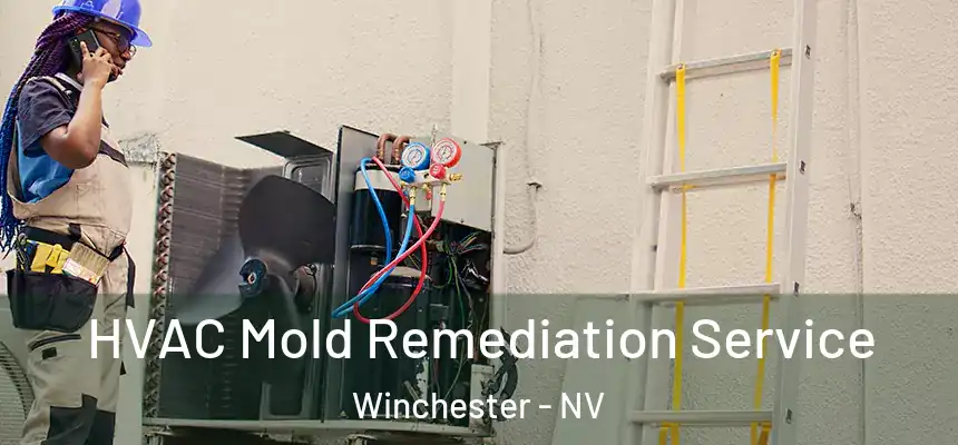  HVAC Mold Remediation Service Winchester - NV