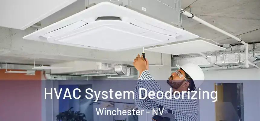 HVAC System Deodorizing Winchester - NV