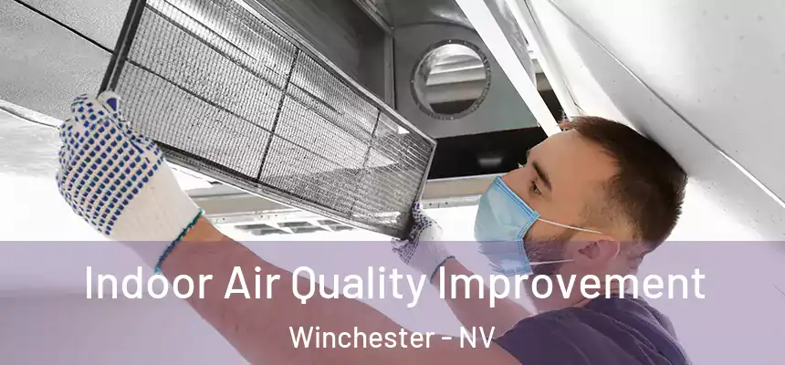 Indoor Air Quality Improvement Winchester - NV