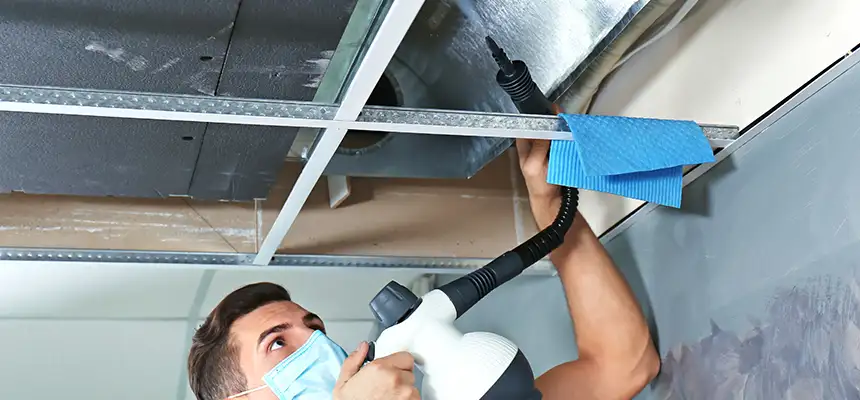 Our Air Duct Rodent Removal Services in Winchester, NV