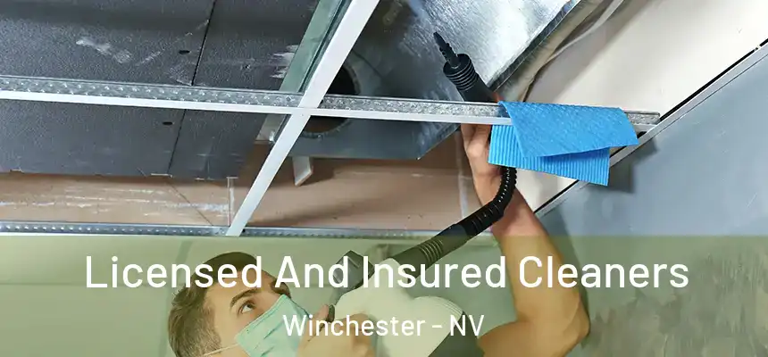Licensed And Insured Cleaners Winchester - NV