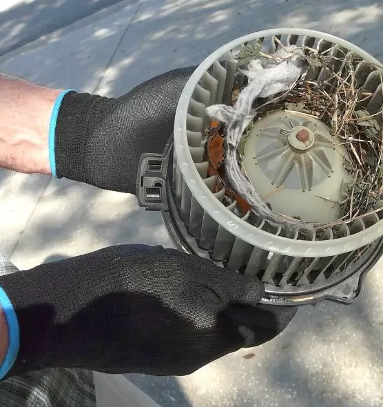 About Air Duct Rat Removal in Winchester, NV