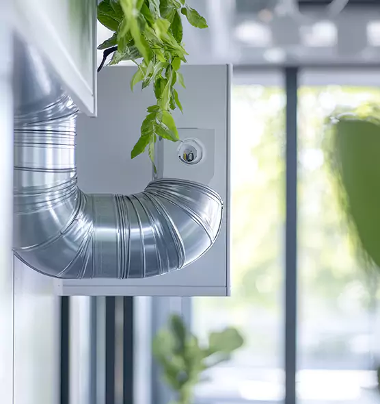 Professional Eco-Friendly Duct Cleaning Services in Winchester, NV