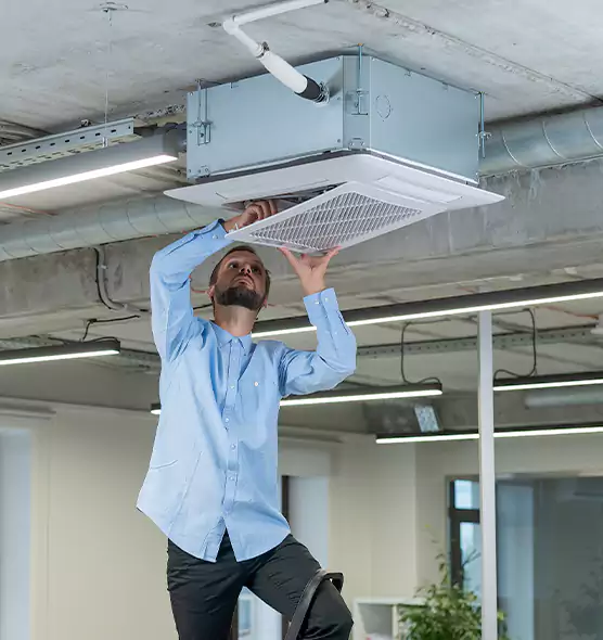 Advanced Rodent Droppings In Vents in Winchester, NV