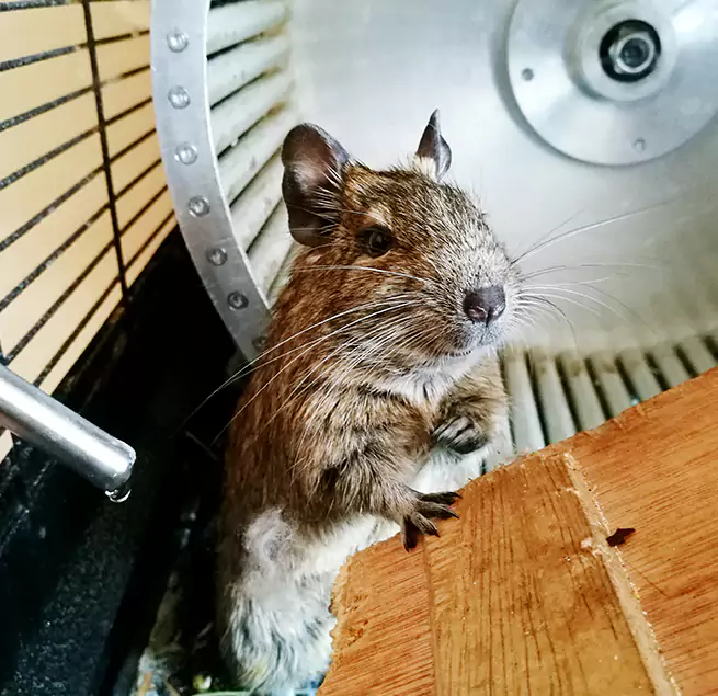 Why Homeowners & Businesses Trust Us Winchester, NV