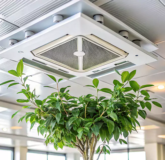 Why Homeowners & Businesses Trust Us in Winchester, NV