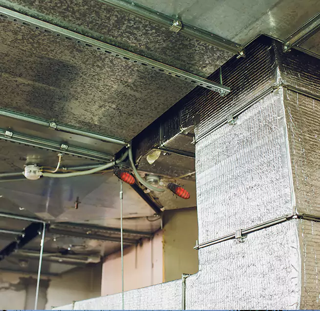 Why Homeowners & Businesses Trust Us Winchester, NV?